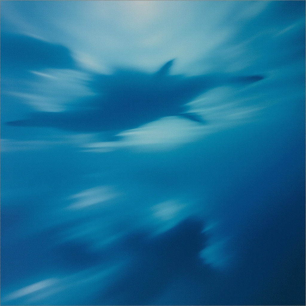 Cover art for Eccojams Rotation 1708