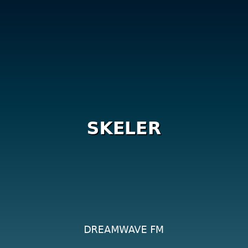 Cover art for Skeler Night Mix